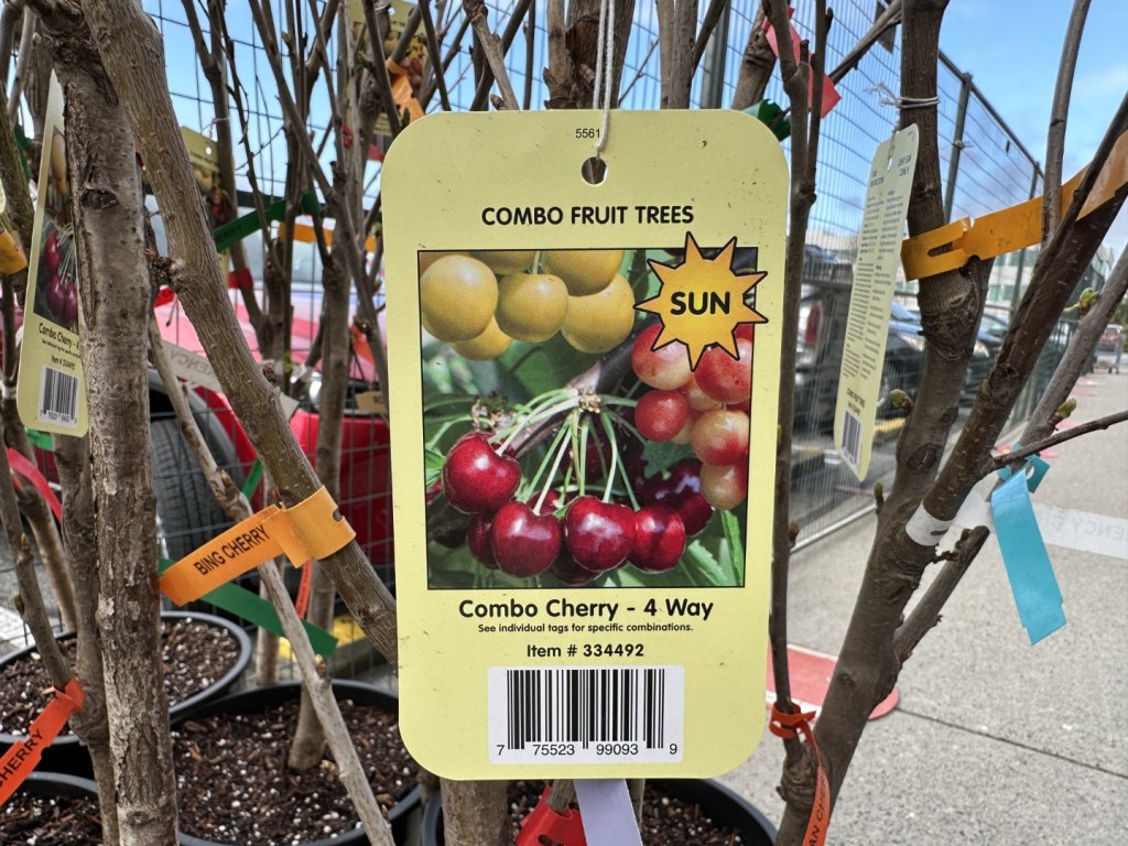 Picture of: Costco Spring Garden Centre  Superpost – Fruit Trees