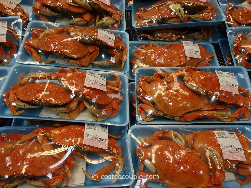 Picture of: Fresh Wild Whole Cooked Dungeness Crab